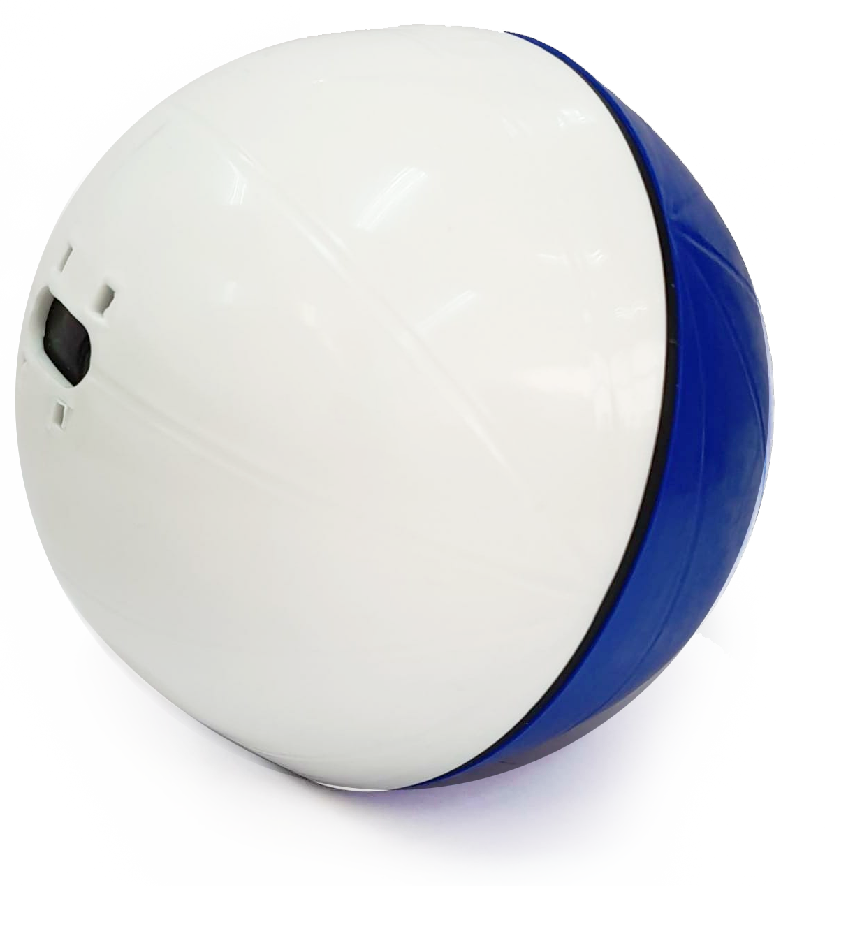 0162 PET BALL AZUL